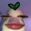 nadaa_9658