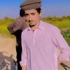 hameeddarhall2