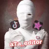 a7a_editor120