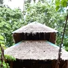 nixiecalumpang21