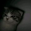 _alwyss.raa