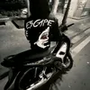 mi.tp.chi.xe06