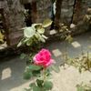 allauddin.allaudd26