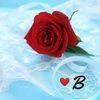 user3018481717453