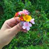 nirosha8399
