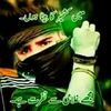 raja.kashmiri7866