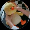 sofiaobando5869