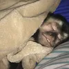 nael.ljh
