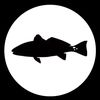csfishing0