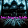 searchingforspiri