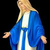 haymanot5279
