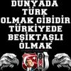 mazi2536