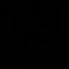 aseltprt2