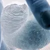pisellinopallemosce