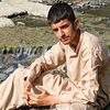 alihaider42875