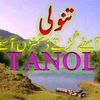 user8384061780251