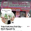 mamquabachnguyetvy