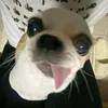 _meojuu08