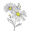 lil.daisy28