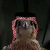 neiiq7