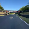 chicken_jockey81