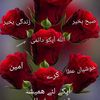 allahallahallah497