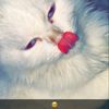 bina.bina659