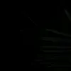 jonsbasualdo