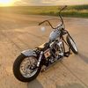 shovelhead399