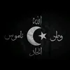 _berbat_38_