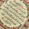 sara.al4910