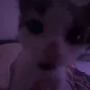 urfavblondie112