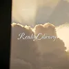 RealitLibrary