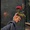 farah_4747