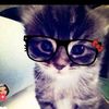 love.cats319