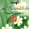 marwan7140