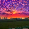 marileuza.alves44