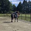 barrel.racing05