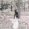 fayera_ara