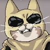 .coldkitty0