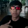 dnzin.z15