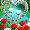 ali.1238006