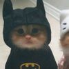 justin_doiron6