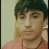 user4507453070199