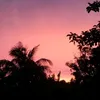 dangcongsanvn5