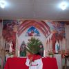 biak097