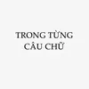 trongtungcauchu1