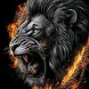 tonnie_aj254