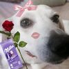 lapa_sigmf
