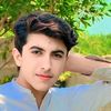 alon.king804